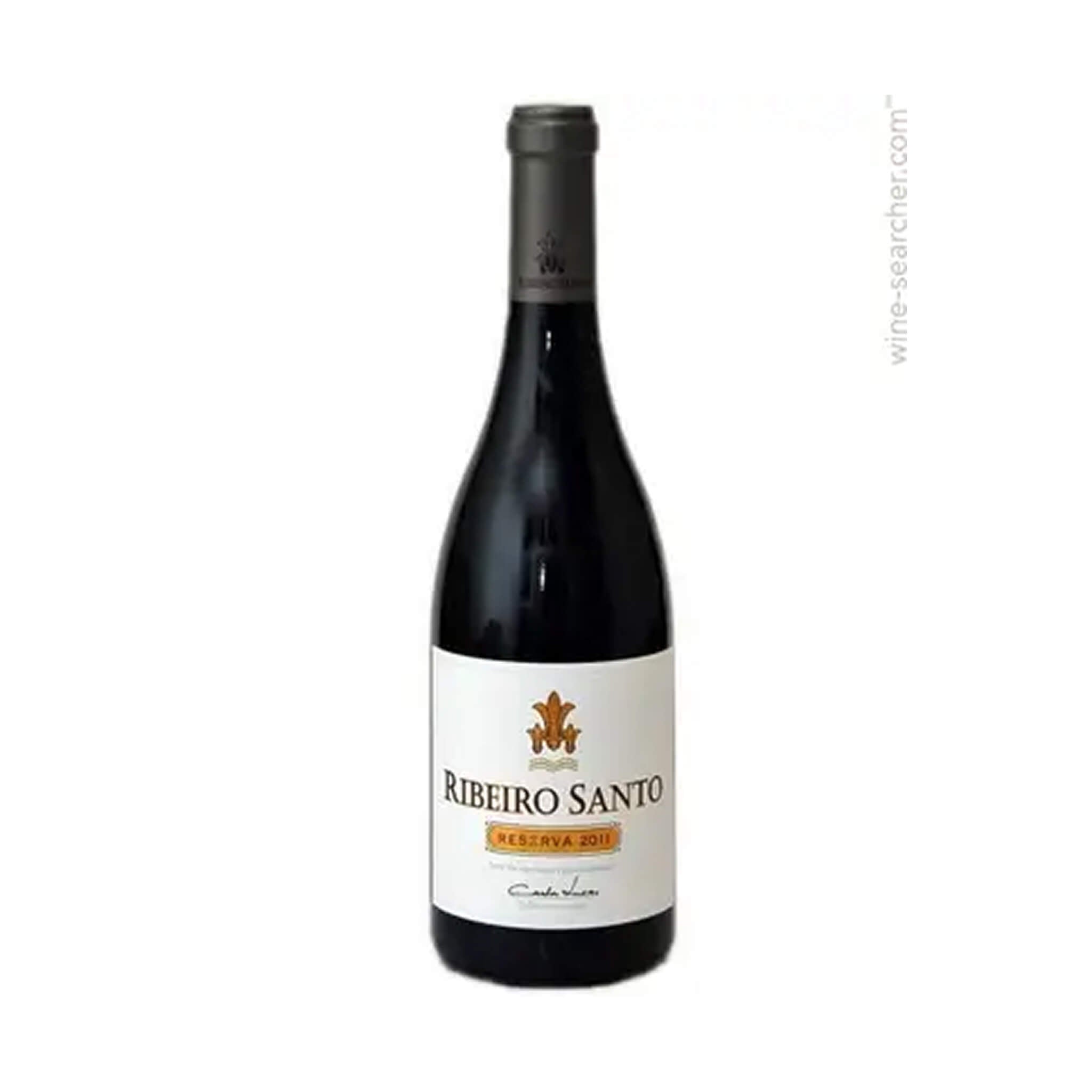 Ribeiro Santo Grande escolha 2023