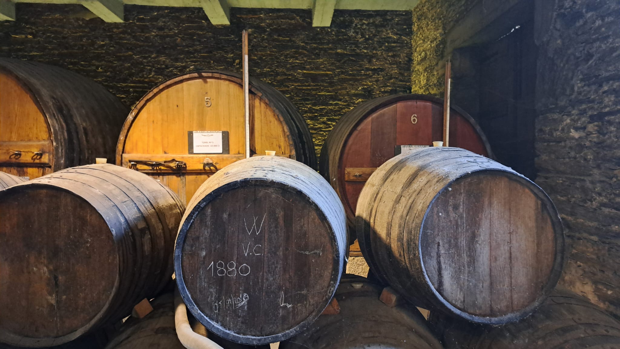 Dry White Port