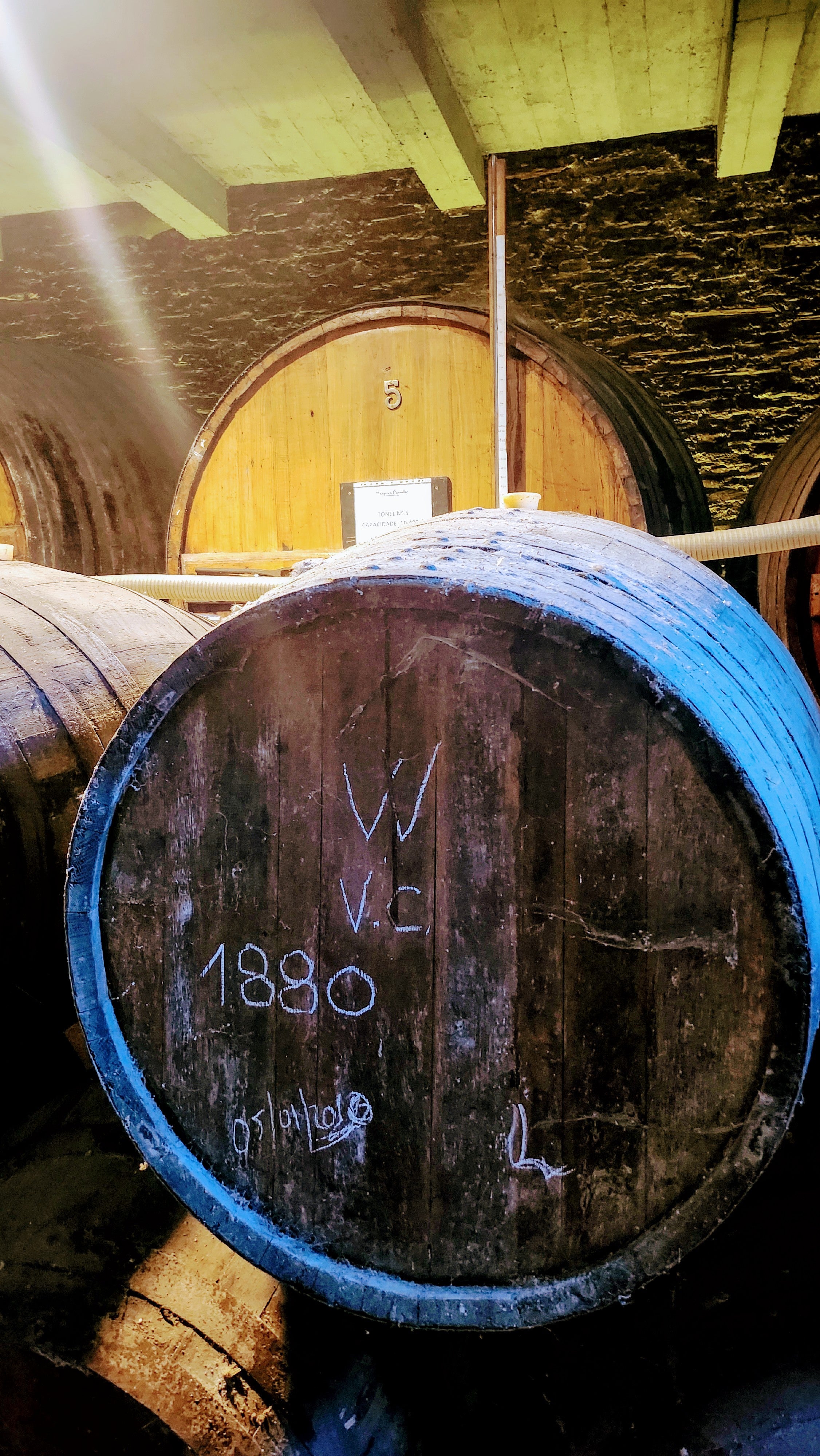 Tawny Port 50 years