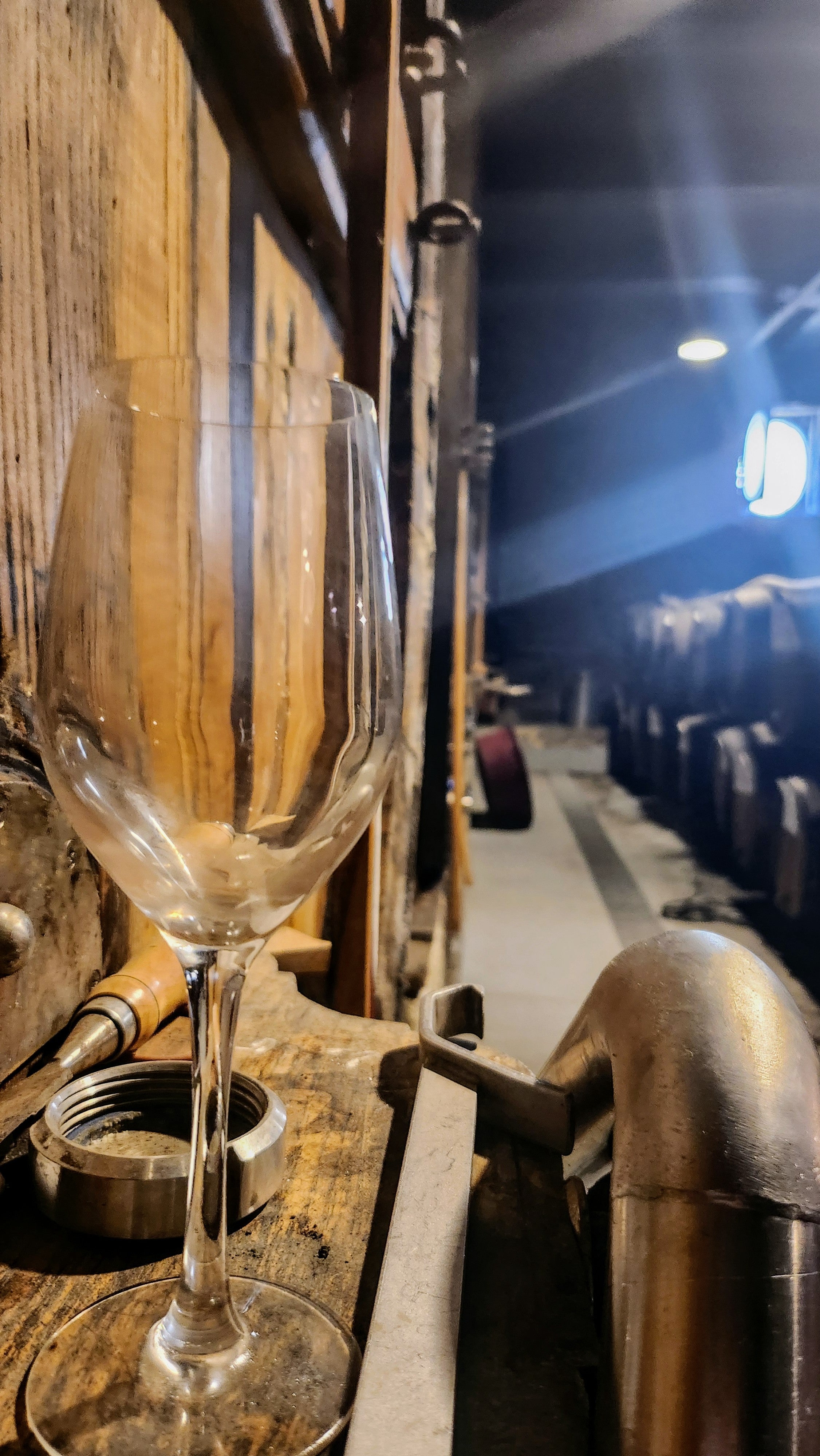 Velhos Bardos 2019 - Magnum (1.5l)